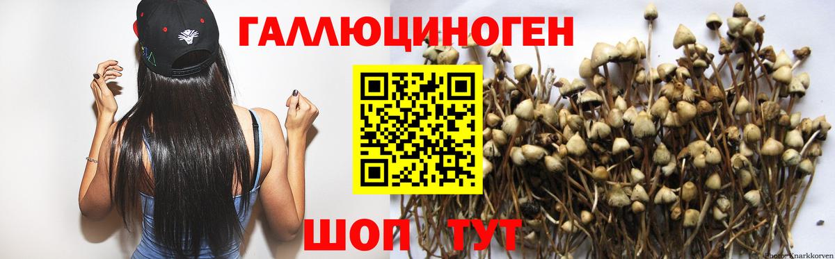 Набережные Челны  Галлюциногенные грибы Magic Shrooms  Вход с VPN 